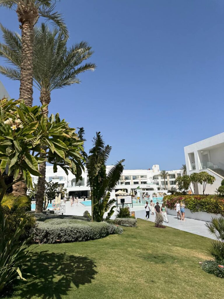 Sunrise White Hills 5* sunrise white hills reseption турагенція Бориспіль 6